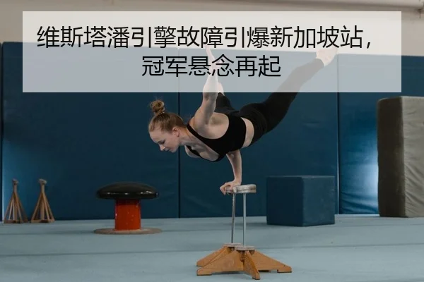 wei-si-ta-pan-yin-qing-gu-zhang-yin-bao-xin-jia-po-zhan-guan-jun-xuan-nian-zai-qi-2-333.jpg