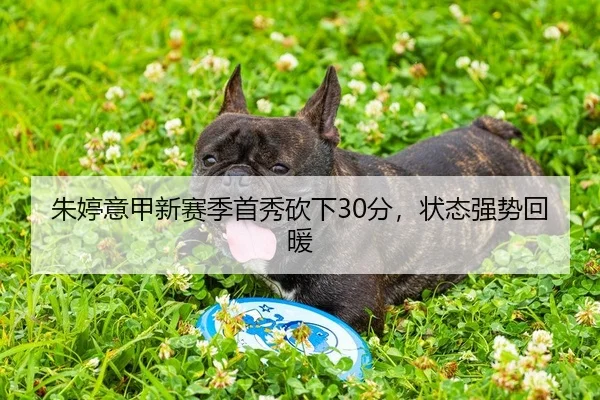 朱婷意甲新赛季首秀砍下30分，状态强势回暖